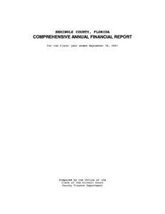 2001 Annual Comprehensive Financial Report